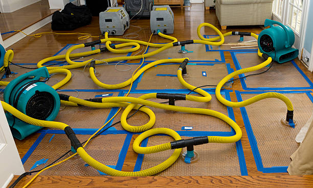 Professional Water Damage Restoration technician working in Newton, UT